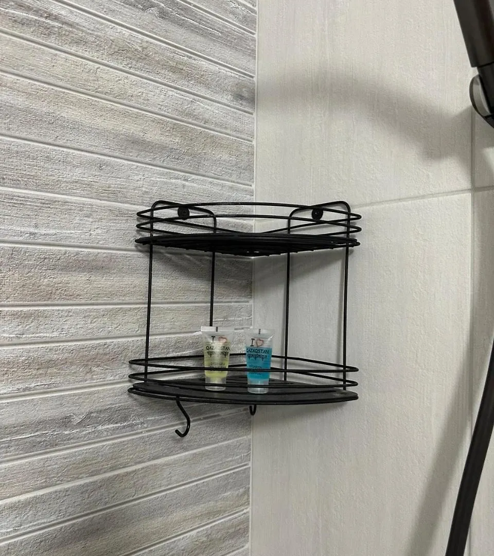 Cozy Flat Almaty - Аренда Уютной Квартиры 0*,  Kazakistan