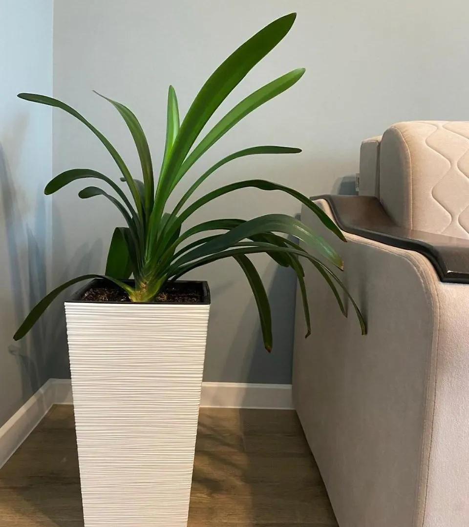 Appartamento Cozy Flat Almaty - Аренда Уютной Квартиры